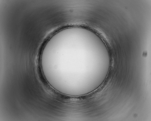 X0000102830636200808181049