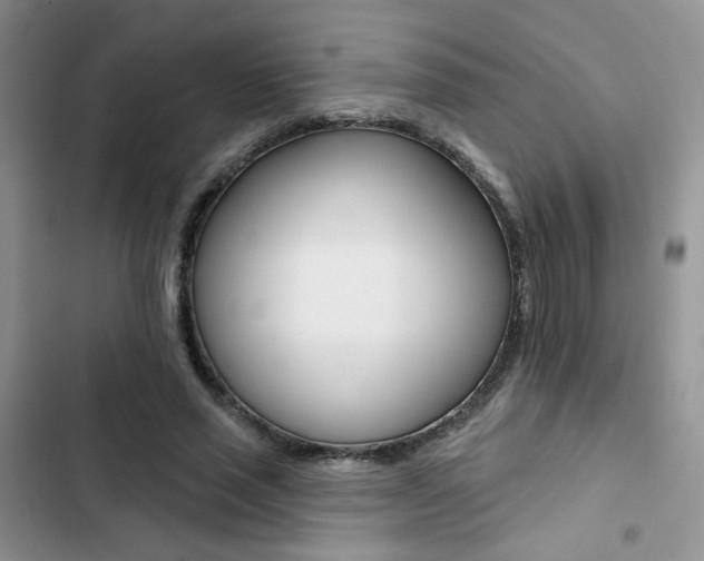 X0000102830637200808181049