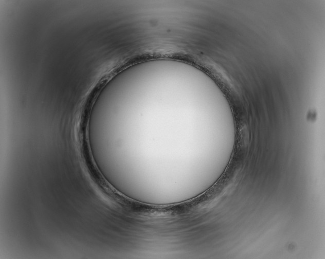 X0000102830638200808181049