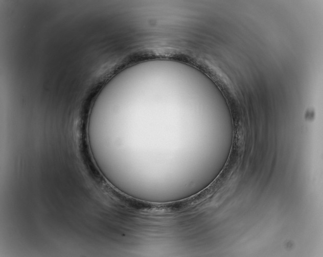 X0000102830639200808181050