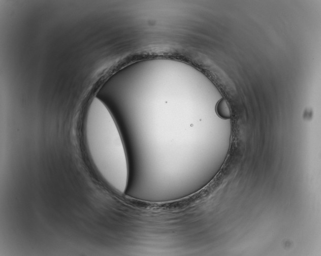 X0000102830640200808181050