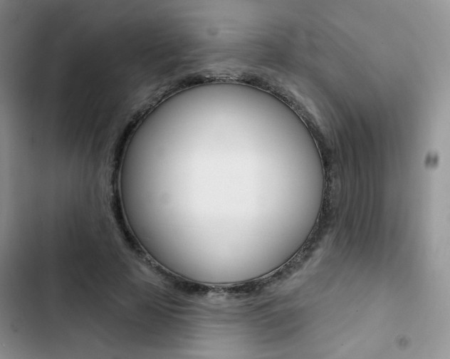 X0000102830641200808181050