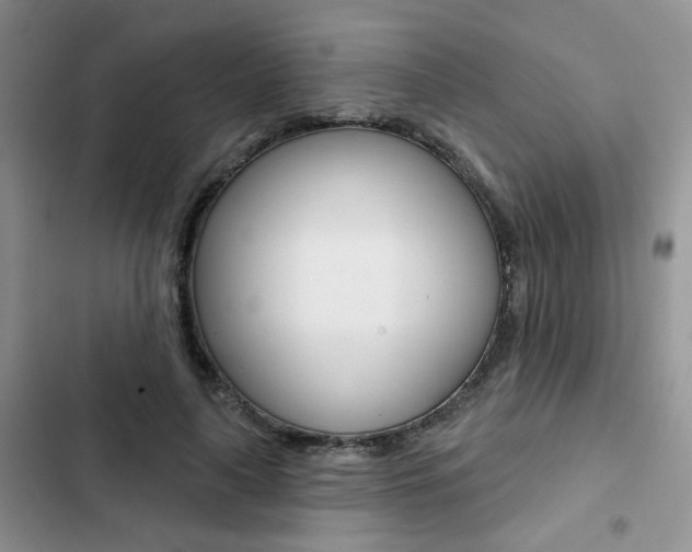 X0000102830643200808181050