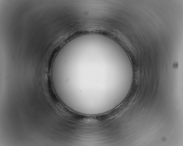 X0000102830644200808181050