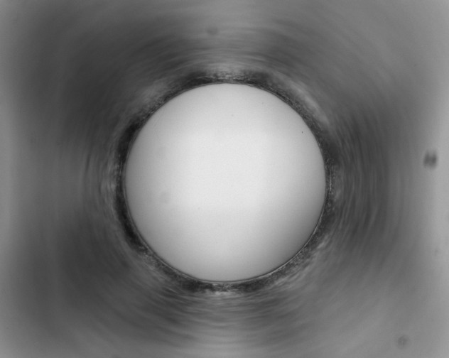 X0000102830645200808181050