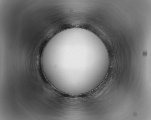 X0000102830646200808181050