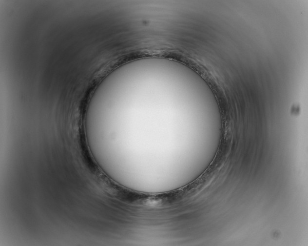 X0000102830647200808181050