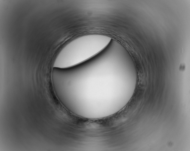 X0000102830648200808181050