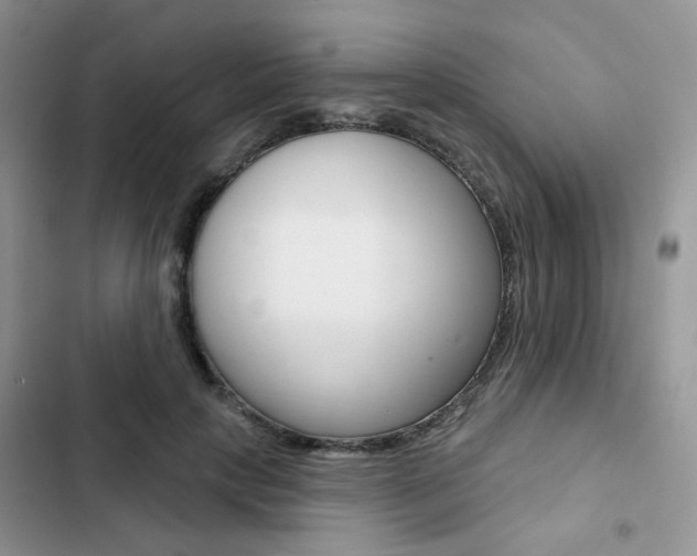X0000102830649200808181050