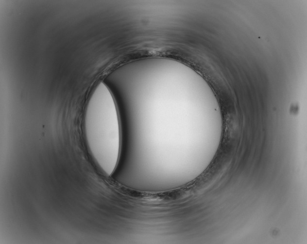 X0000102830650200808181050