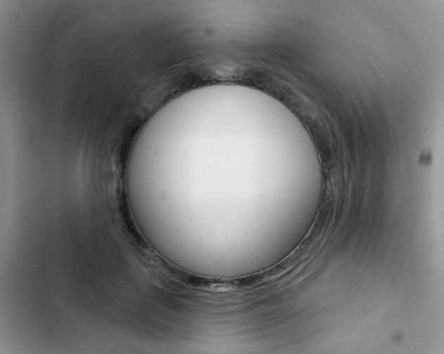 X0000102830651200808181050