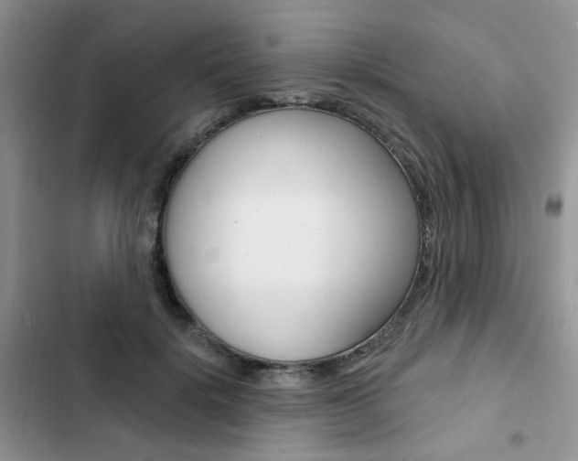 X0000102830652200808181050