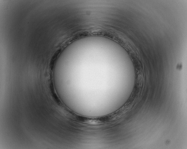 X0000102830654200808181050