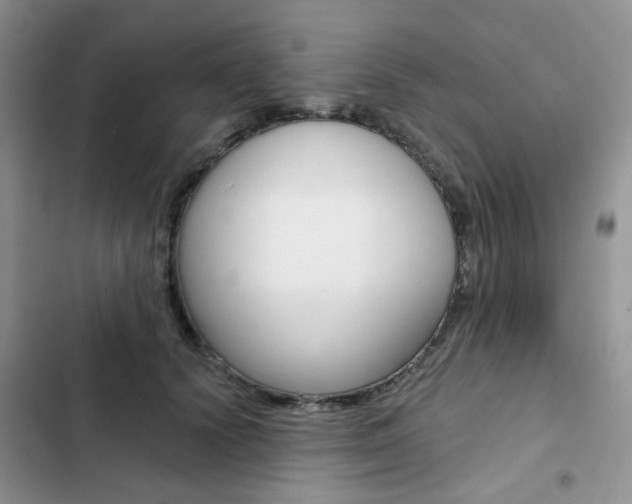 X0000102830656200808181050