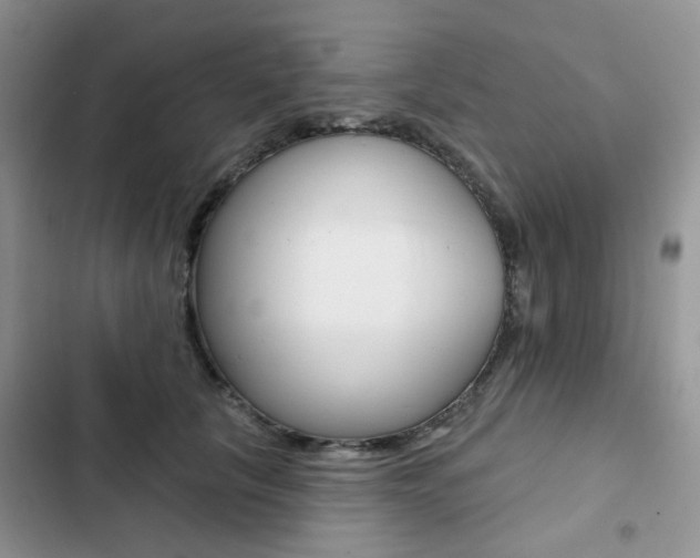 X0000102830657200808181050
