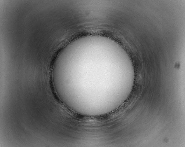 X0000102830658200808181050