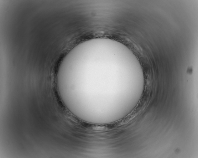 X0000102830659200808181050