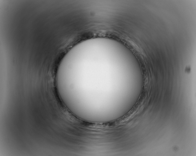 X0000102830661200808181050