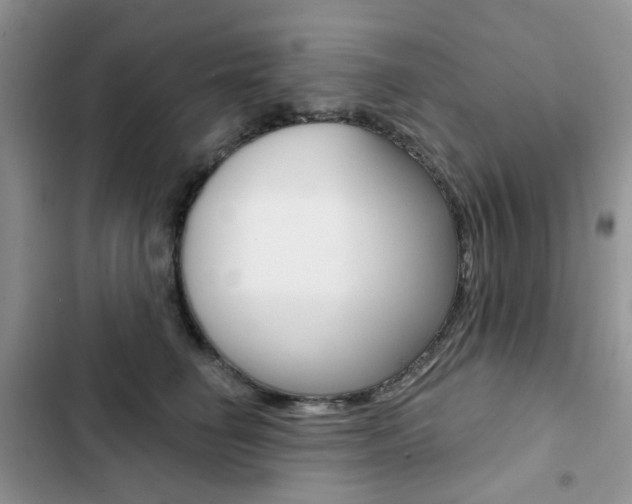 X0000102830662200808181050