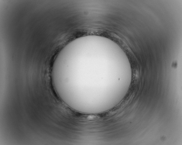 X0000102830663200808181050