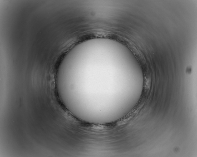 X0000102830666200808181050