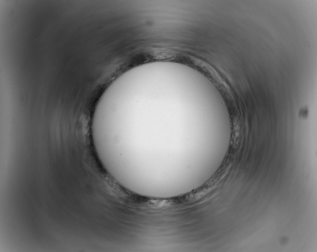 X0000102830667200808181050