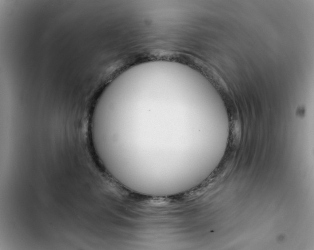 X0000102830668200808181050