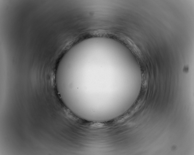 X0000102830669200808181050
