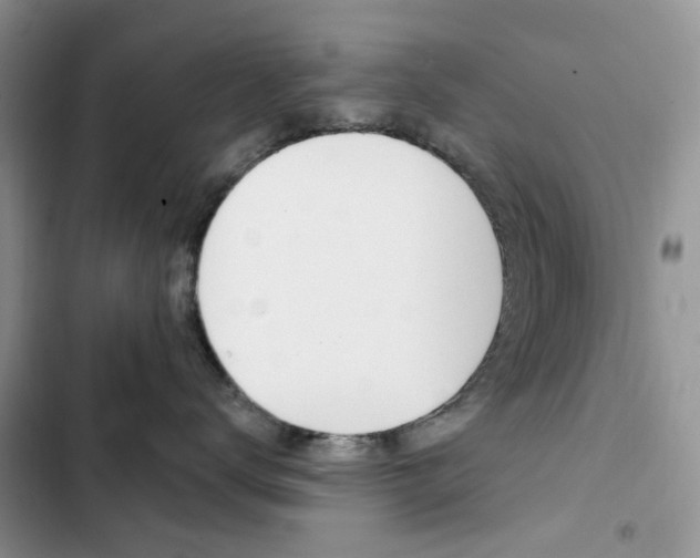 X0000102830672200808181050
