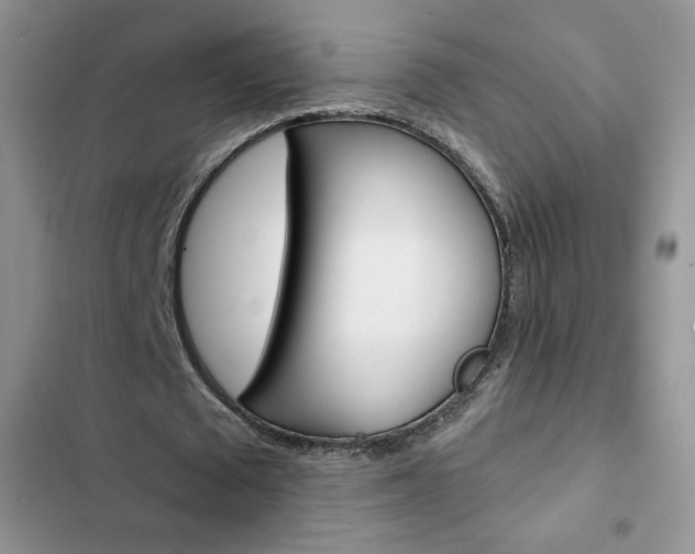 X0000102830673200808181049