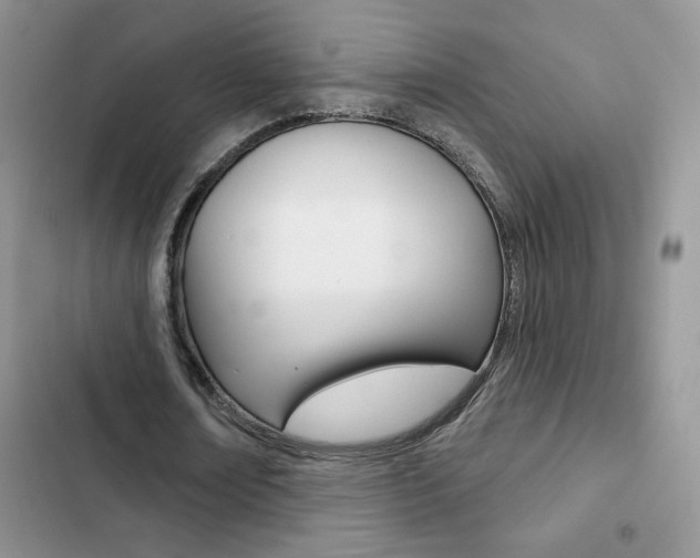 X0000102830674200808181049