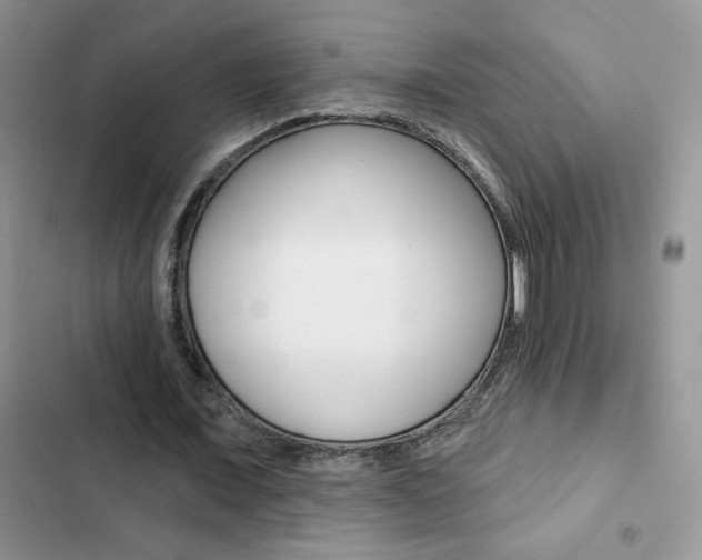 X0000102830675200808181049