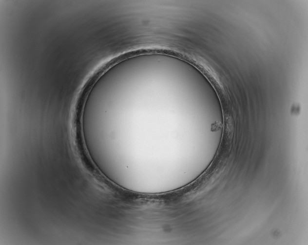 X0000102830676200808181049