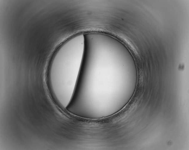 X0000102830677200808181049