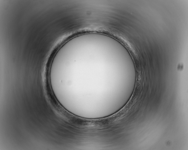 X0000102830678200808181049
