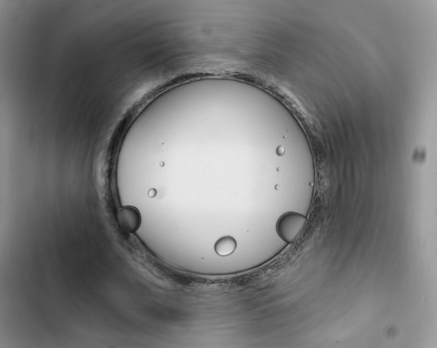 X0000102830679200808181049