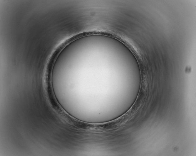X0000102830680200808181049