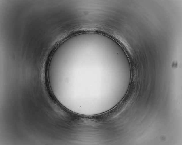 X0000102830681200808181049