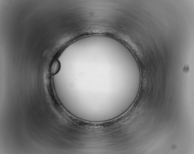 X0000102830683200808181049