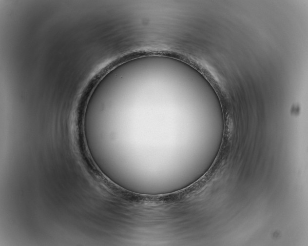 X0000102830684200808181049