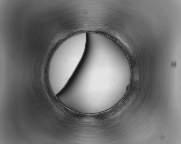 X0000102830685200808181049