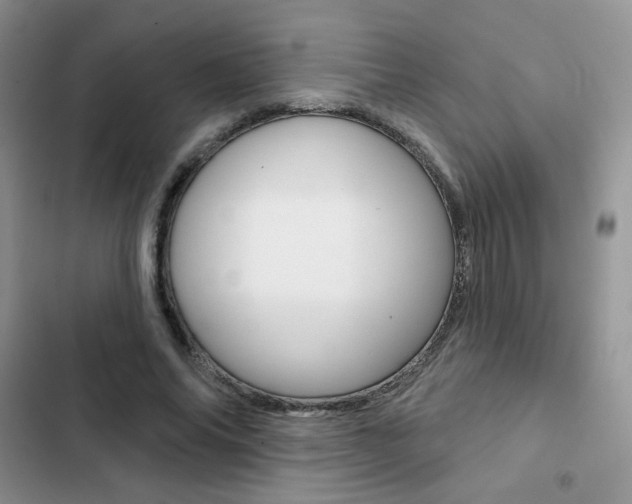 X0000102830686200808181049