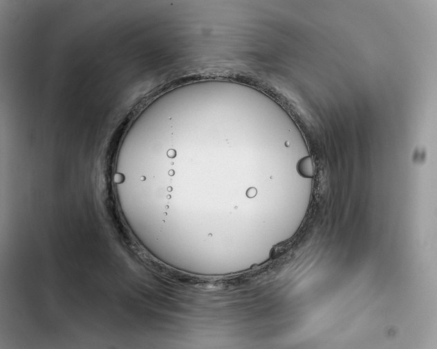 X0000102830687200808181049
