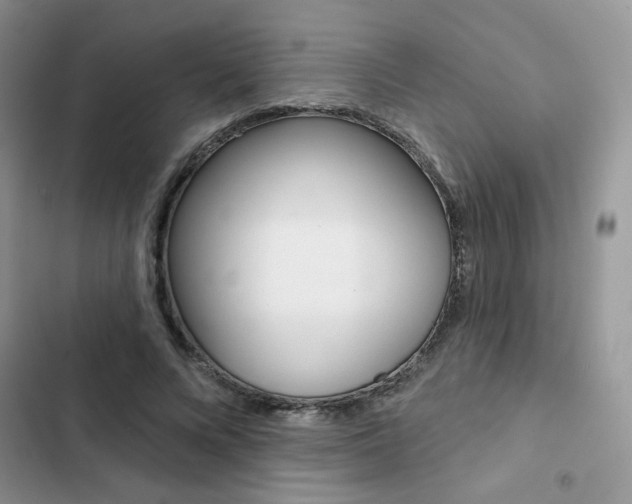 X0000102830688200808181049