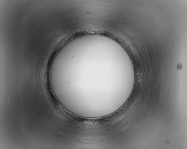 X0000102830690200808181049