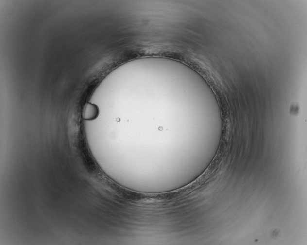 X0000102830691200808181049