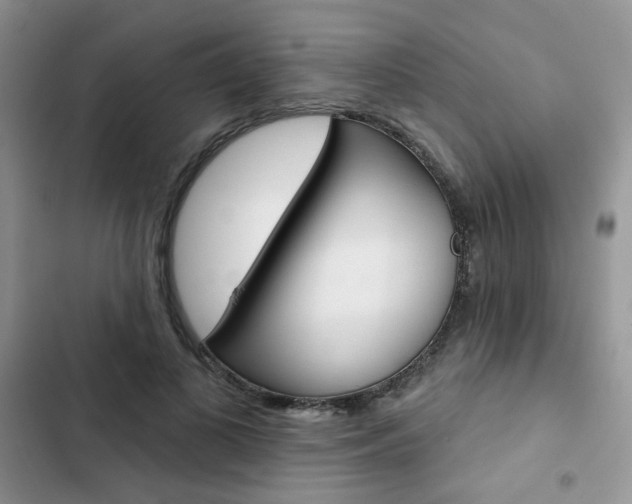X0000102830693200808181049