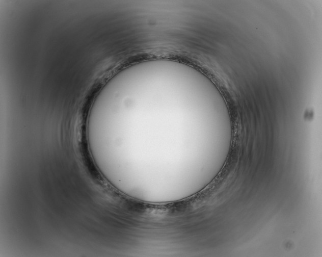 X0000102830694200808181049