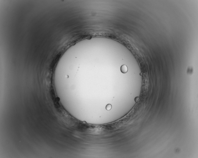 X0000102830695200808181049