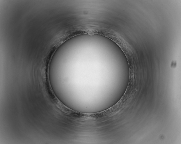 X0000102830696200808181049